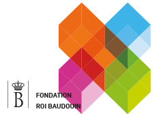 « La vulnérabilité psychique comme force » édité par la Fondation Roi Baudouin (2014)