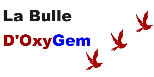 Logo Bulle d'OxyGem